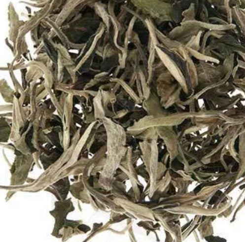 Silver Moonlight White Tea