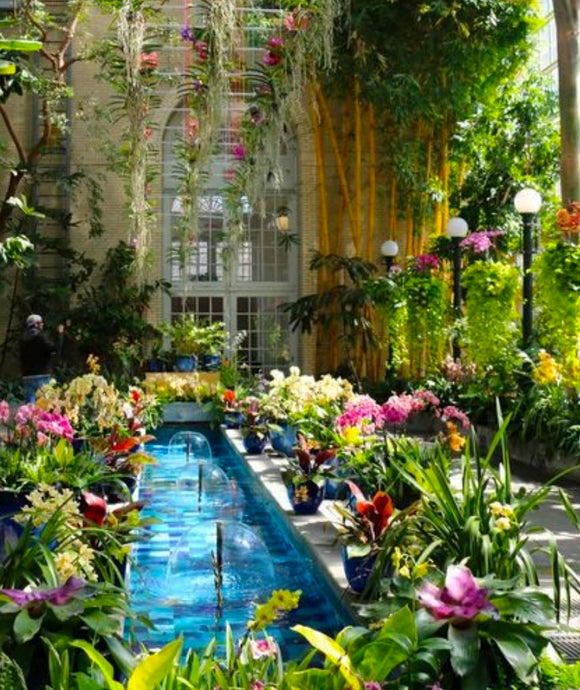 Botanical Garden - Handmade Soap